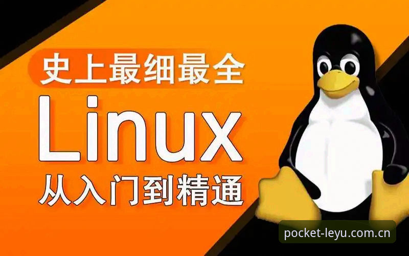 揭秘leyu使用教程背后的真相：从入门到精通的深度解析